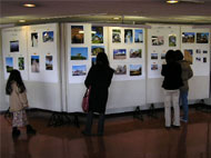写真コンクール展示状況