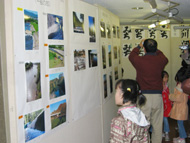写真コンクール展示状況