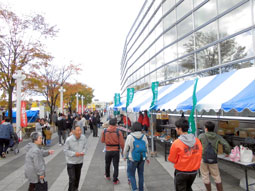 現場見学の様子