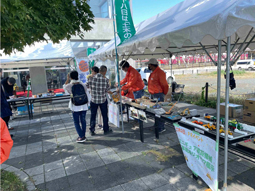 現場見学の様子