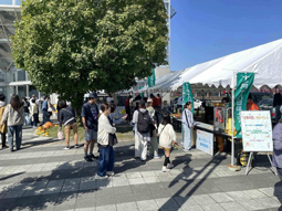 現場見学の様子